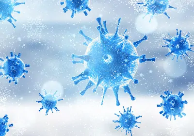 illustration of blue coronavirus particles with snowflakes in the background illustration of blue coronavirus particles with snowflakes in the background